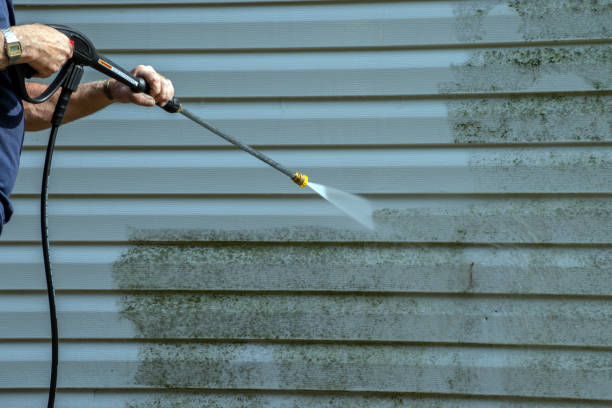 Best Fence Cleaning  in Bostonia, CA